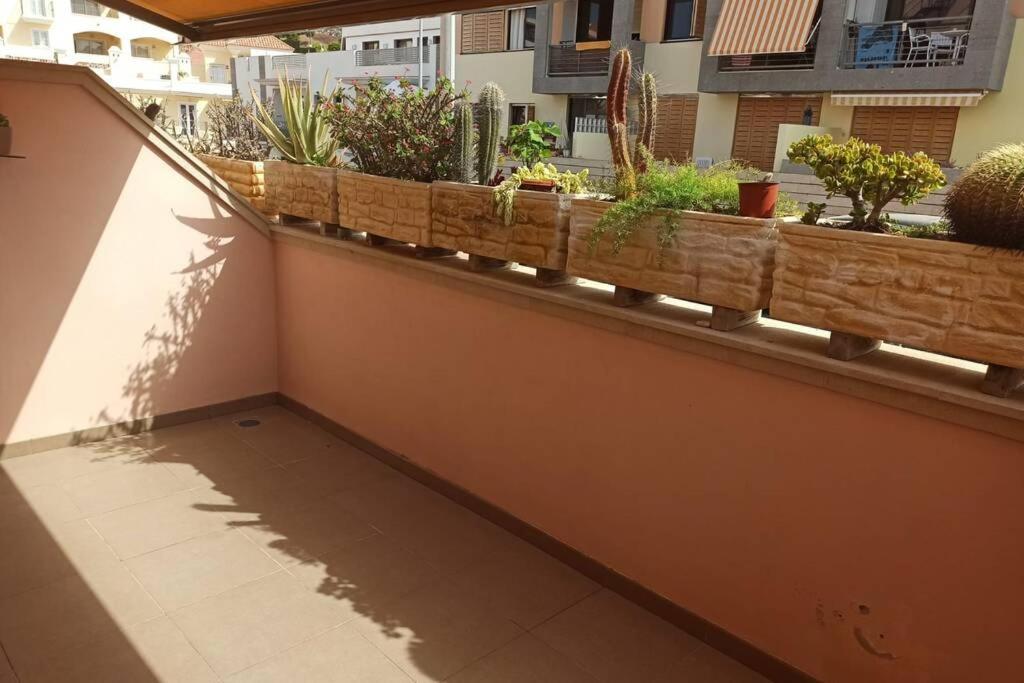Spacious Apartment Just Few Steps Of The Ocean In La Caleta 阿德耶 外观 照片